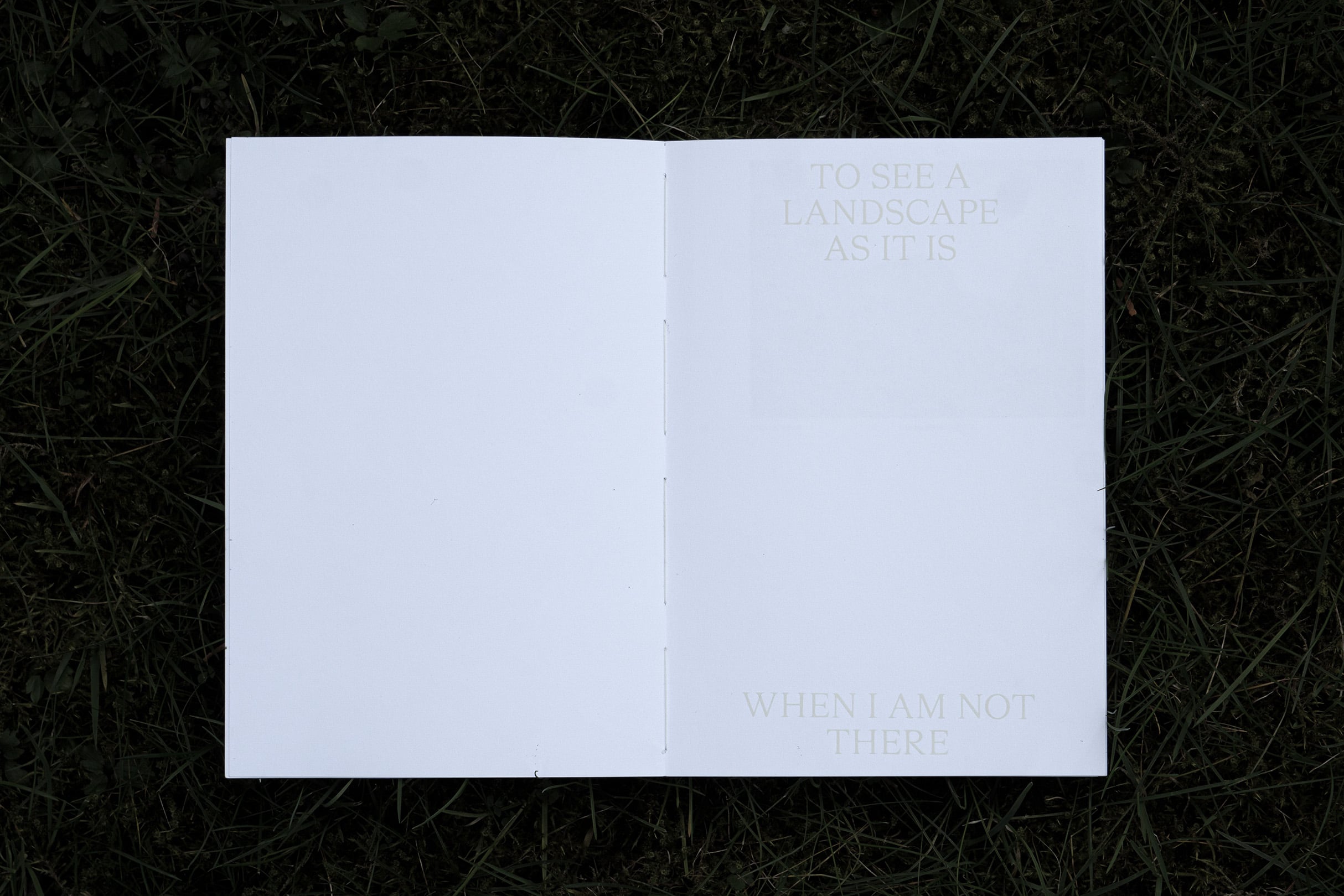 Booklet: To See A Landscape